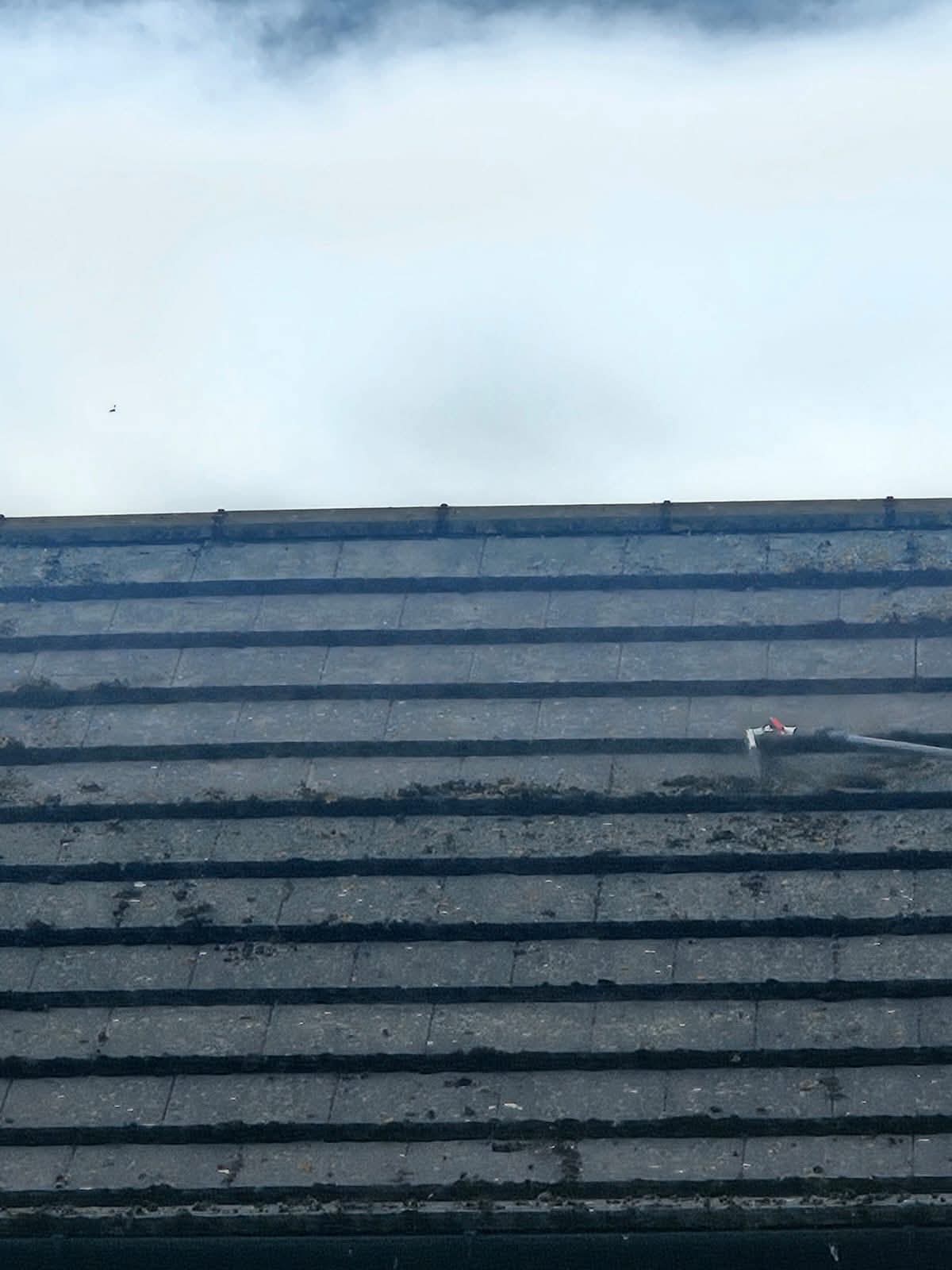 Spray lance treating moss built up along the courses of a concrete tiled roof