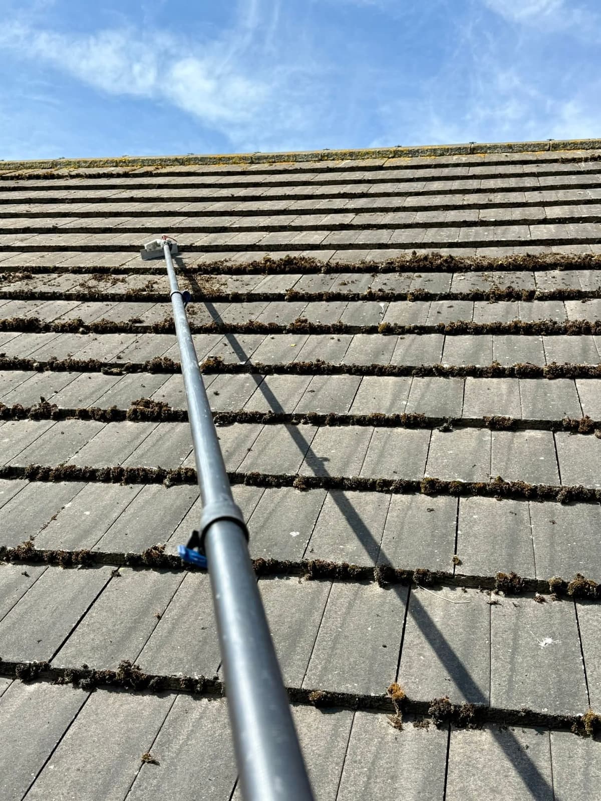 Water-fed pole scrubbing moss from the courses of a concrete tiled roof